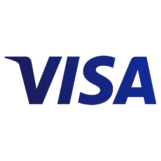 Visa icon