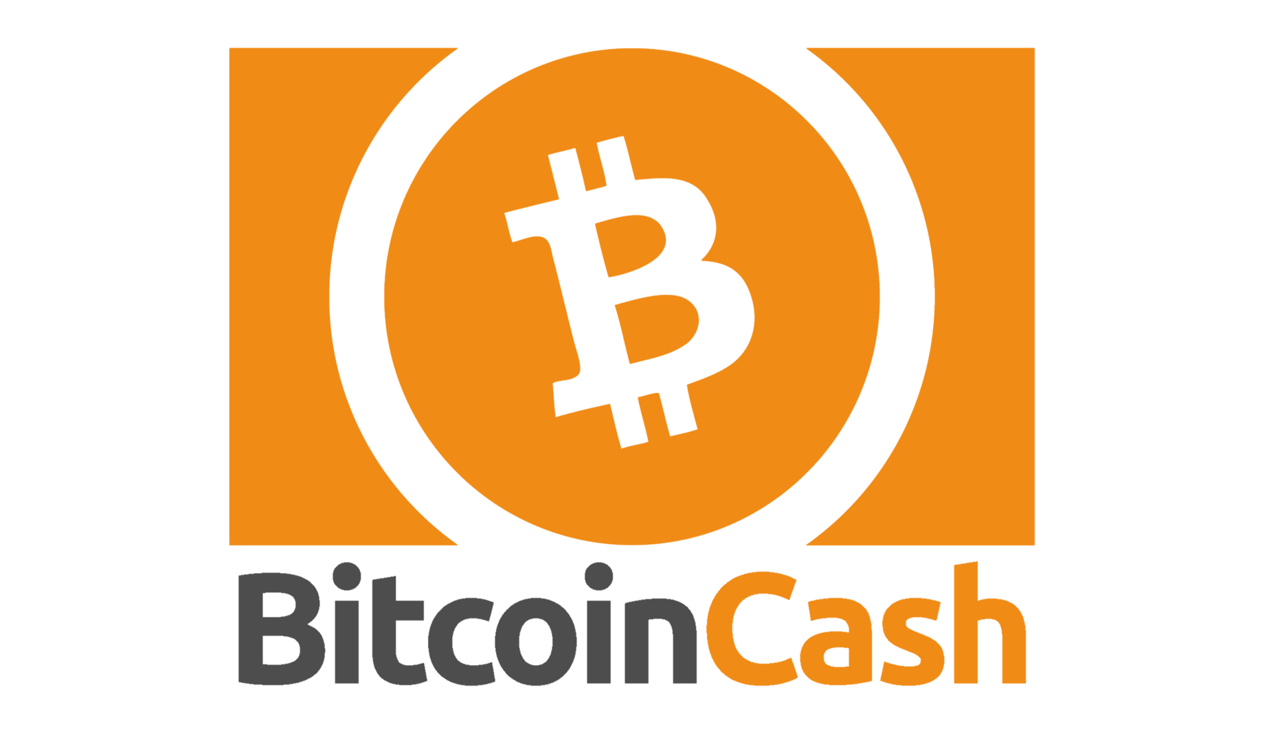 Bitcoin Cash icon