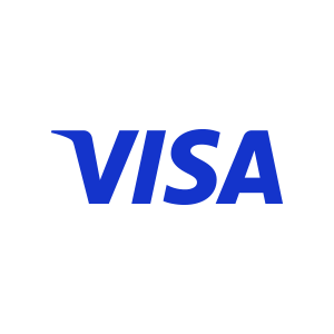 Visa icon